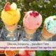 Restaurant ouvert les apres-midi-vente de glaces-La Pangee